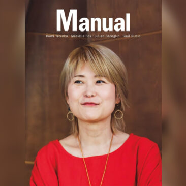 revista manual 12